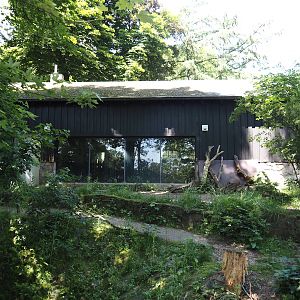 Giant anteater and Lowland tapir exhibit, 2024-06-08