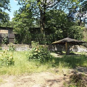 Giant anteater and Lowland tapir exhibit, 2024-06-08