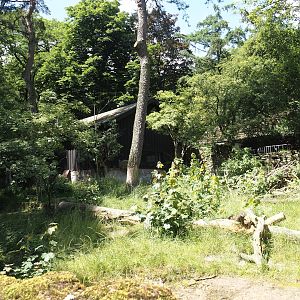 Giant anteater and Lowland tapir exhibit, 2024-06-08
