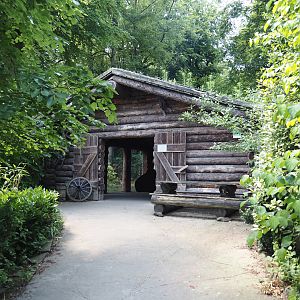 Log cabin with Eurasian lynx and European wildcat viewing, 2024-06-08