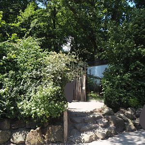 European wildcat viewing area, 2024-06-08