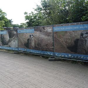 Not only our animals do construction signs on construction fencing, 2024-06-08