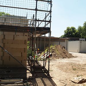 Construction site near fossas and animal service area, 2024-06-08