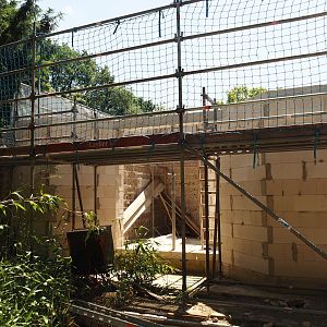 Construction site near fossas and animal service area, 2024-06-08