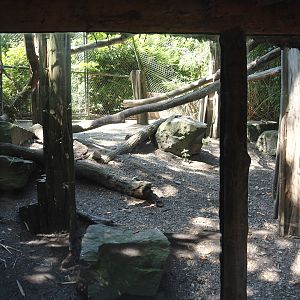 Second fossa exhibit, 2024-06-08