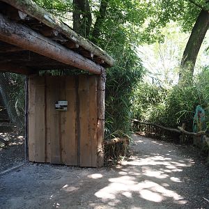 Walkway and viewing area in the fossa area, 2024-06-08