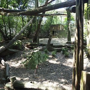 Third fossa area, 2024-06-08