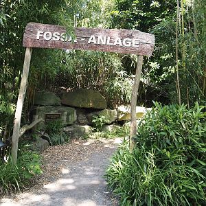 Entrance to the fossa area, 2024-06-08