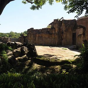Second African bush elephant paddock, 2024-06-08