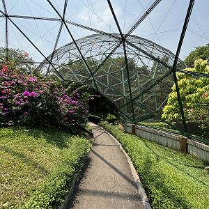 Walk-through Aviary