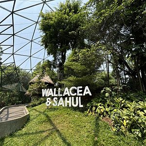 Walk-through Aviary