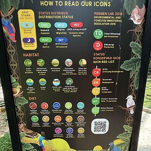 Detailed Icon Sign