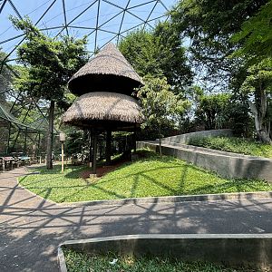 Walk-through Aviary