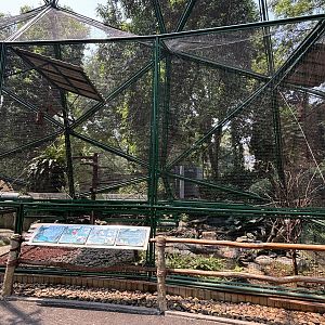 Red Bird of Paradise/Red-winged Parrot Aviary