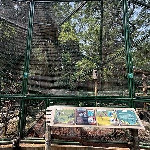 Helmeted Friarbird/Citron-crested Cockatoo Aviary