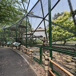 Assorted Aviaries