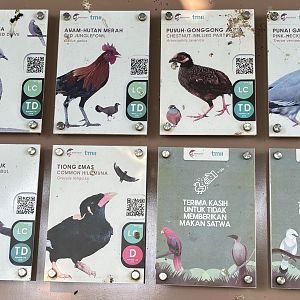 Free-flight Bird Signs