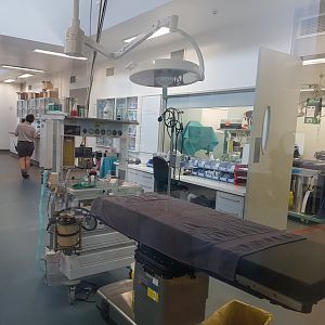 Auckland Zoo | Vet Hospital