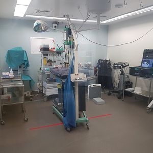 Auckland Zoo | Vet Hospital