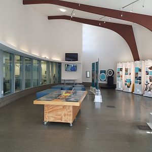 Auckland Zoo | Vet Hospital Public Viewing