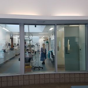 Auckland Zoo | Vet Hospital