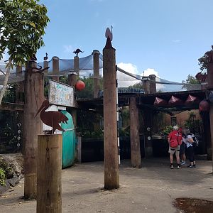 Auckland Zoo | Australian Mixed Aviary Exterior