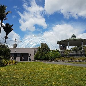 Auckland Zoo | Band Rotunda & Tropical Dome
