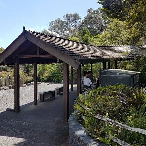Auckland Zoo | Native Reptile Row