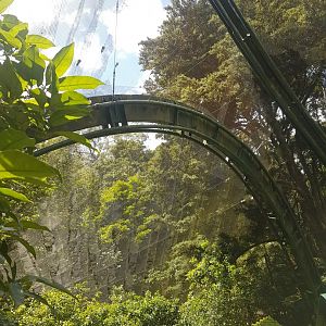 Auckland Zoo | The Forest Aviary Supports