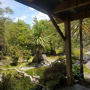 Auckland Zoo | The High Country Aviary