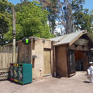 Auckland Zoo | The Watering Hole Exterior