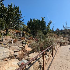 View on the Garden Trail