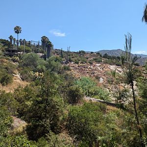 Condor Aviary and Hillside