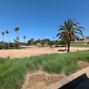 Part of African Savannah