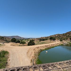 Pond in African Plains