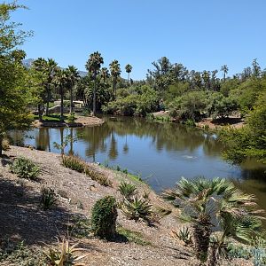 African Outpost Lake