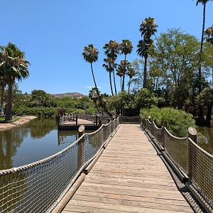 African Loop Path at the African Outpost