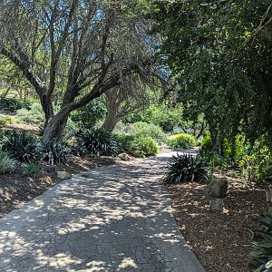 Path Around the African Outpost