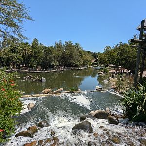 Lake (Lagoon) in the Entrance/Nairobi Walk Area