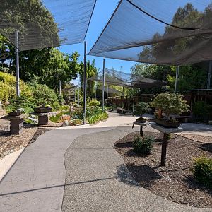 Bonsai Pavilion