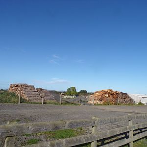 Huge log piles next to the entrance 14.10.23