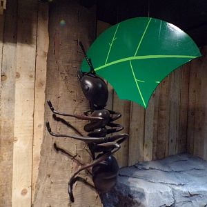 Leafcutter ant sculpture 14.10.23