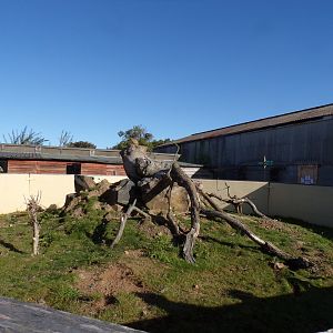 Prairie dog enclosure 14.10.23