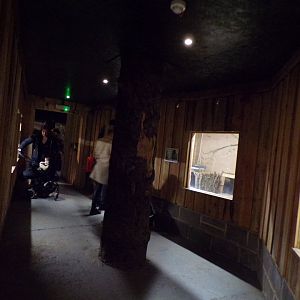 View inside the reptile house 14.10.23