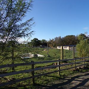 Brazillian tapir enclosure 14.10.23
