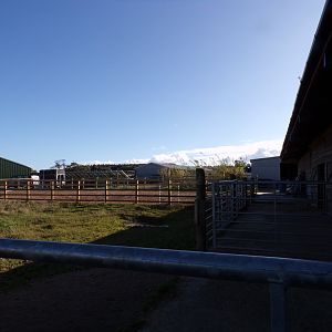 View of domestic animal paddocks 14.10.23