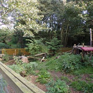 Arctic fox enclosure 14.10.23