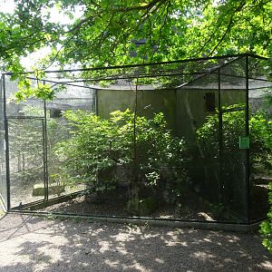 Helsingborg Djurpark - Starling aviary