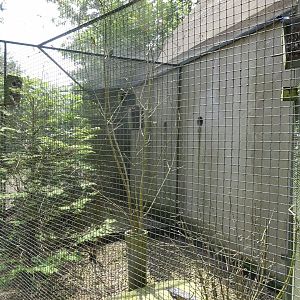 Helsingborg Djurpark - Parrot aviary #8