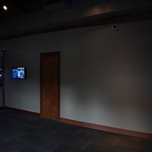 Pacific Coral Reef Gallery (Last Look)